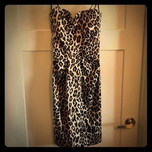 Caché leopard print dress!!! 😍😍